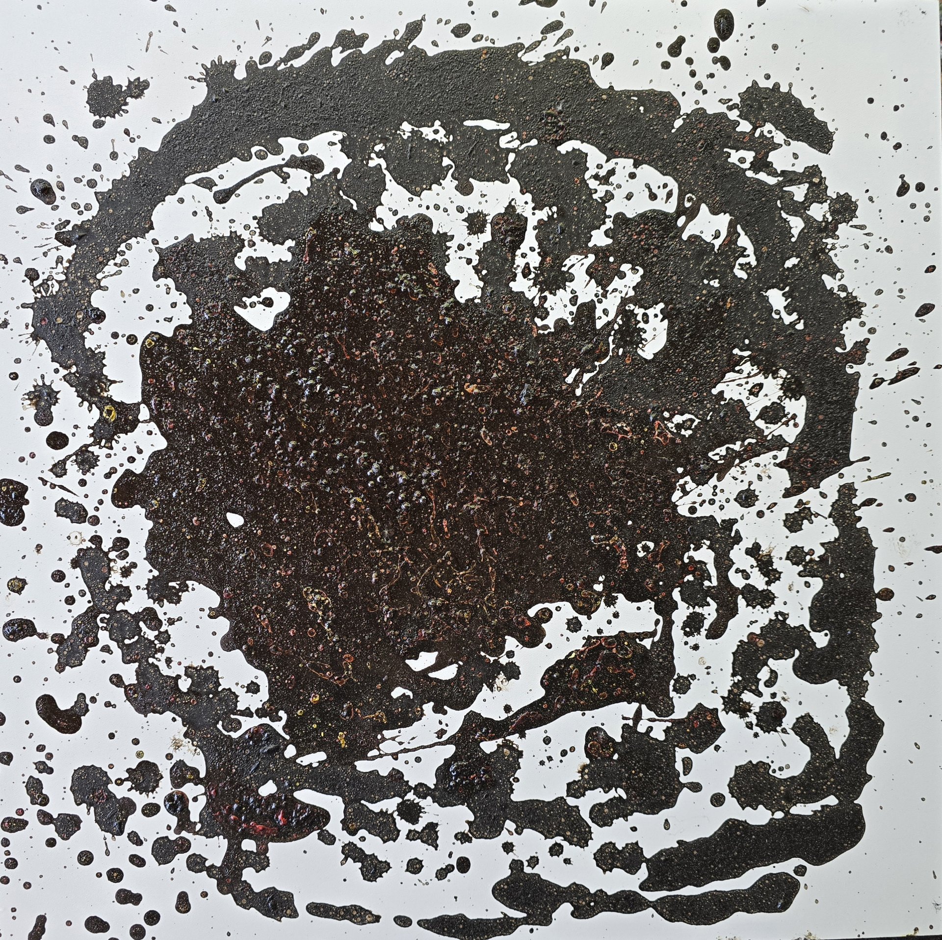 auf Holz — Stefan vom Scheidt